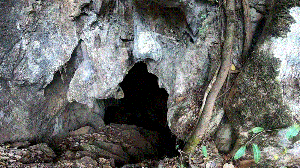 Hang Mường Tỉnh