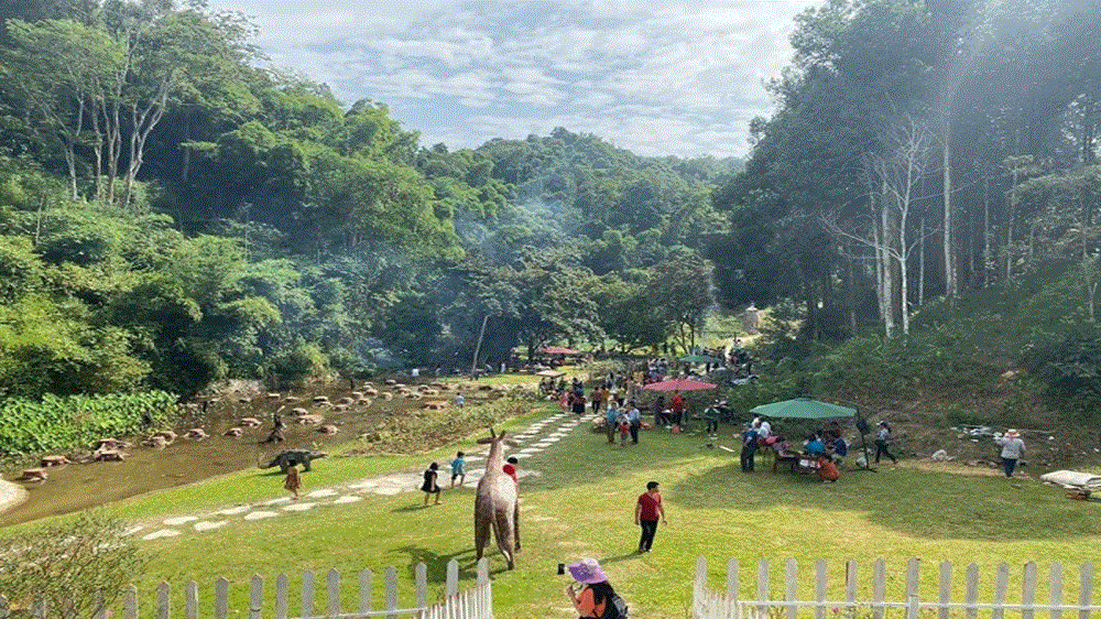 Thung lũng hoa hồng Điện Biên