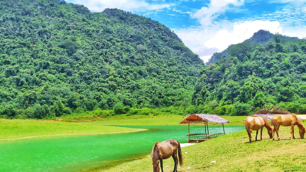 Thảo nguyên Đồng Lâm