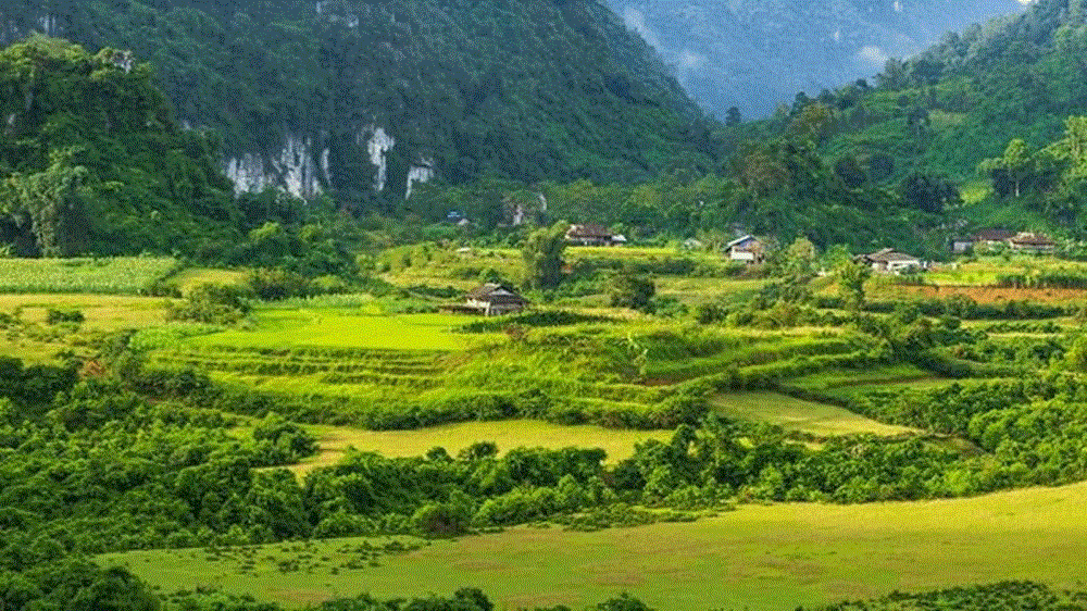 Thung lũng Nà Lùng