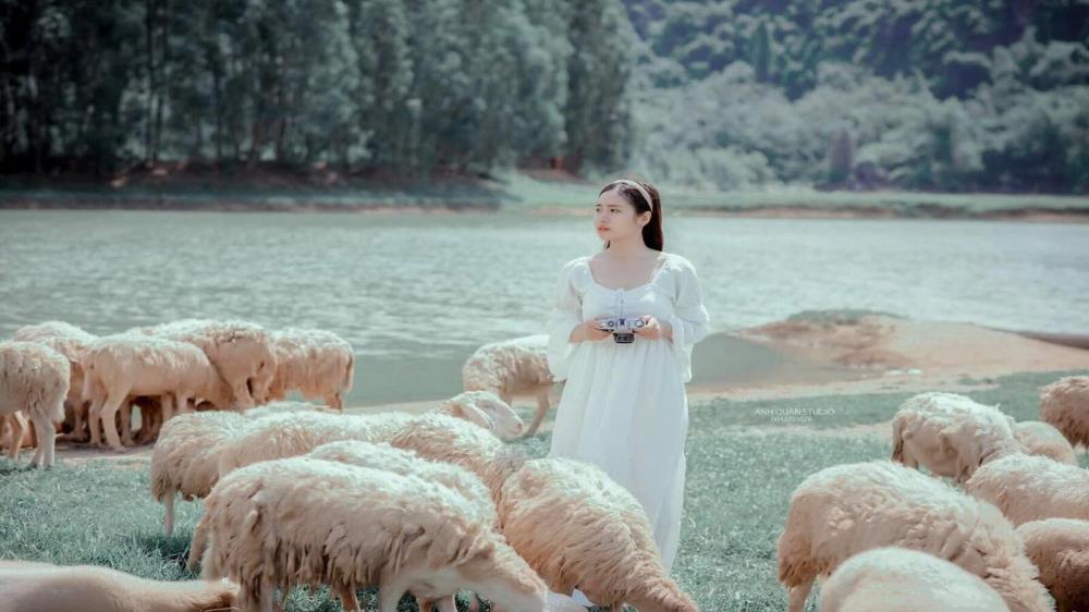 Đồng cừu Gia Hưng Ninh Bình