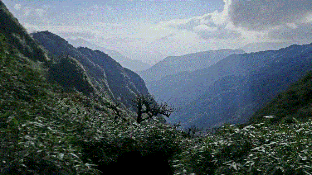 Núi Ngũ Chỉ Sơn