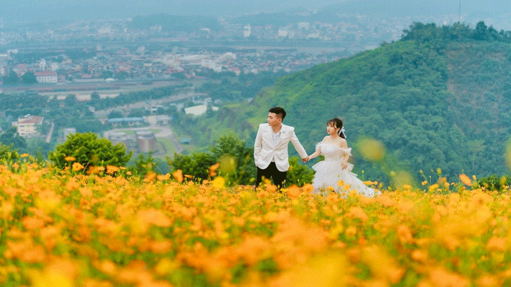 Khu dã ngoại Đồi Gió