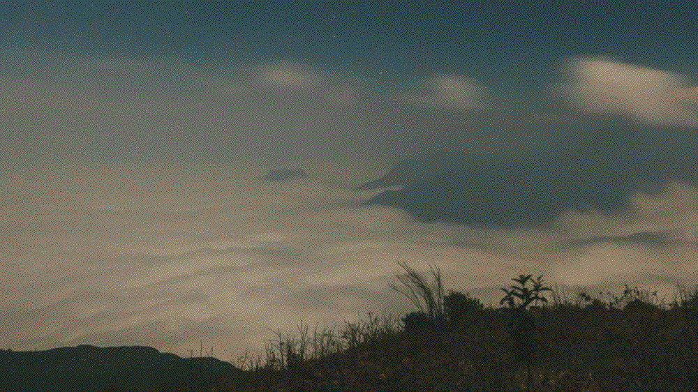 Cù Nhu Sàn Y Tý