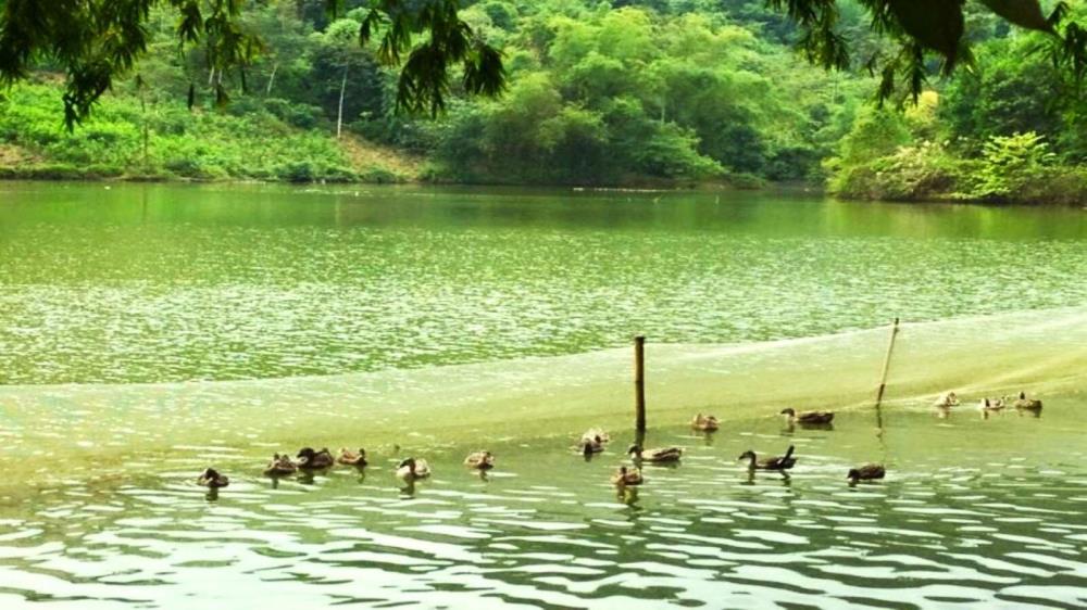 Hồ Chóp Dù