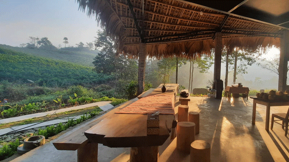 Hoàng Nông Farm