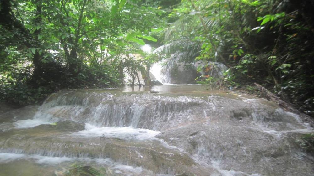 Suối Tiên