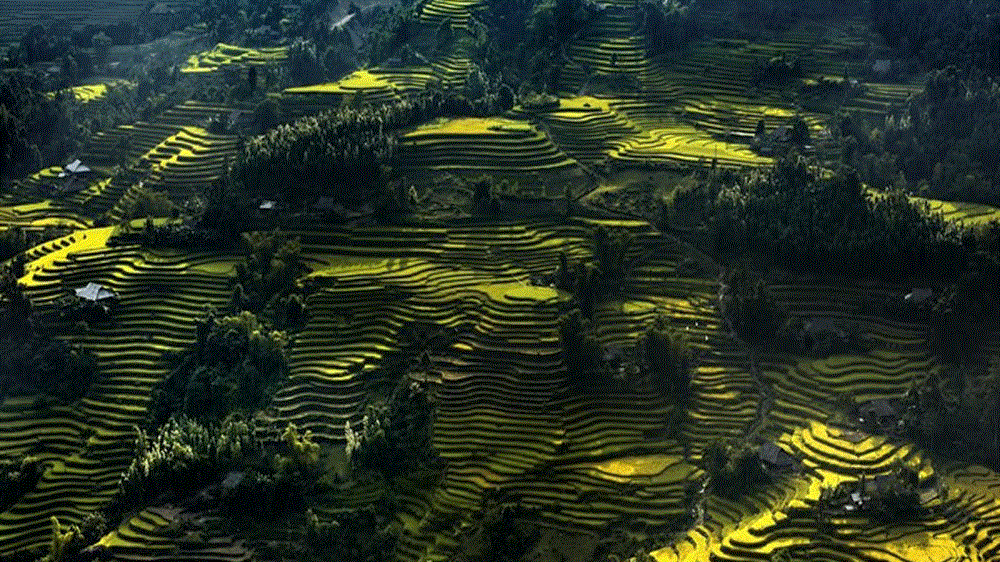 Nậm Ty