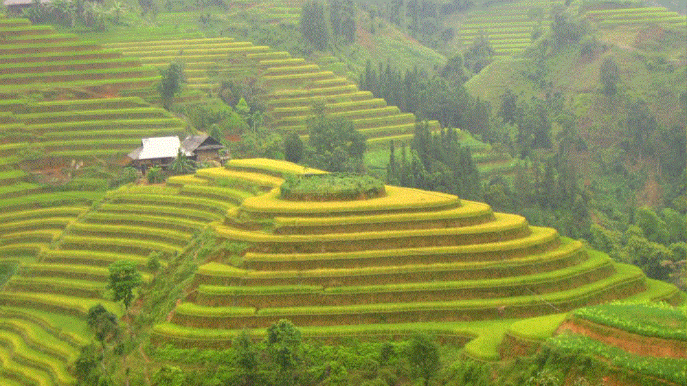 Hồ Thầu