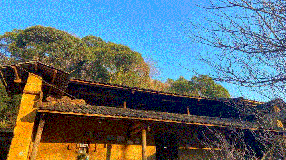 Nhà cổ Lao Xa