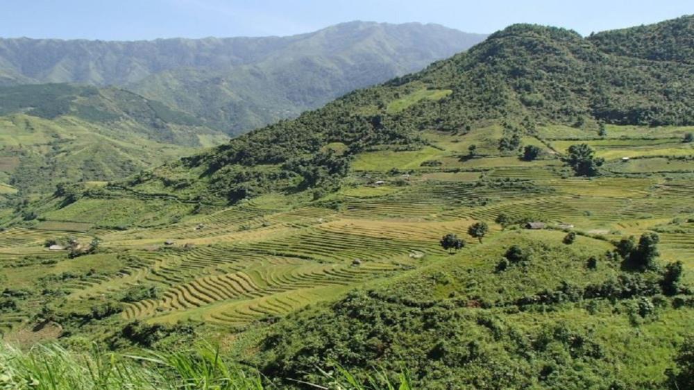 Bản Mù