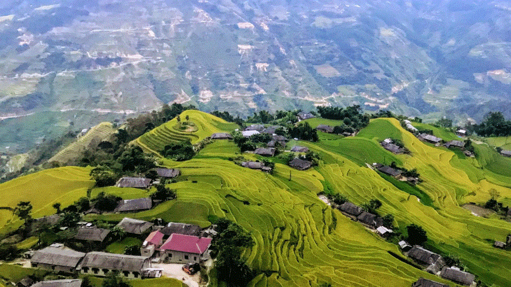 Bản Phùng