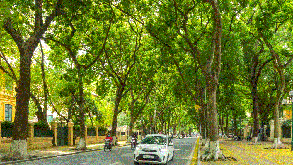 Đường Phan Đình Phùng