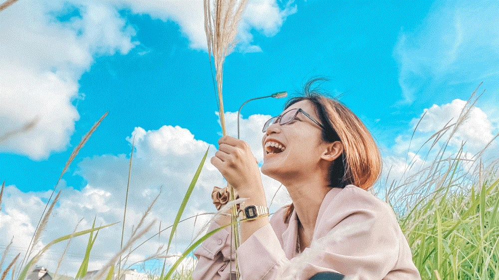 Đê cỏ lau Ngọc Thuỵ