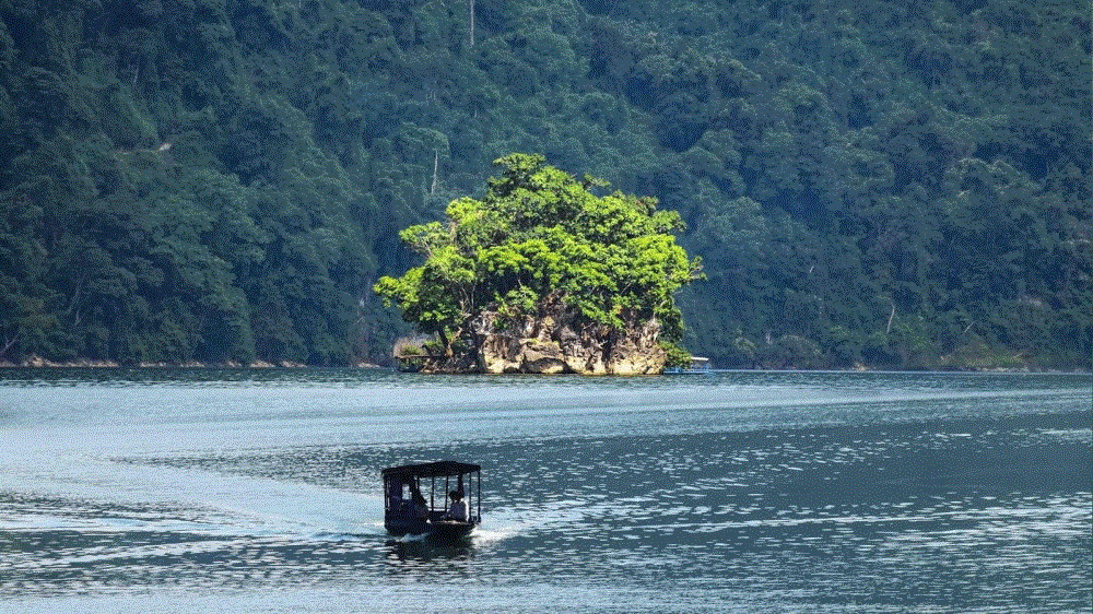 Đảo Bà Goá
