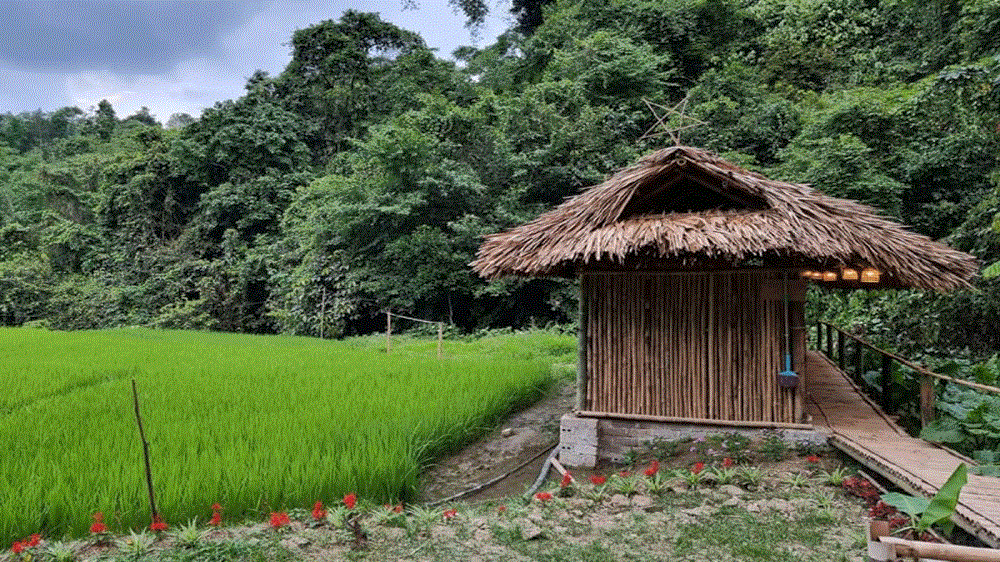 Khu cắm trại Nà Bai