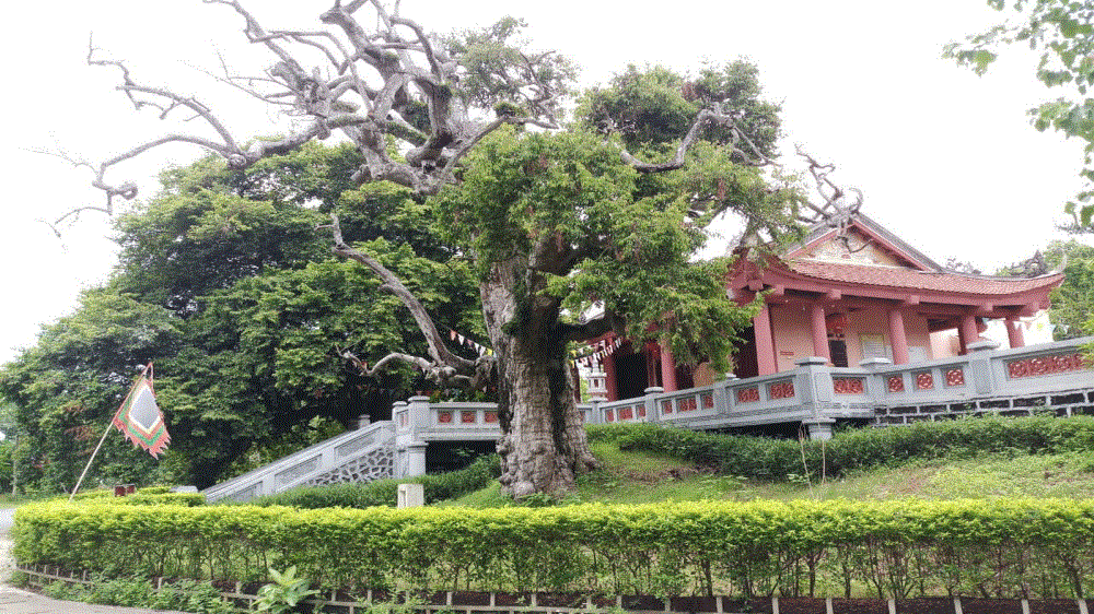 Khu du lịch Bạch Hạc-Bến Gót