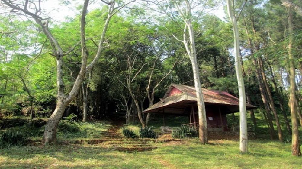 Động Tiên Phi