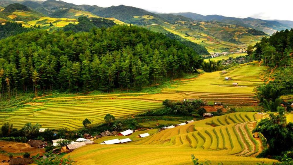 Làng Mai Hịch