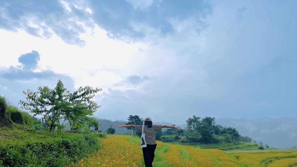 Đồi hoa xóm Mừng