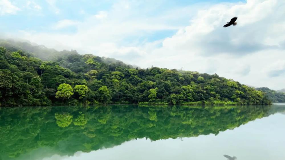 Khu du lịch sinh thái hồ Khe Chão