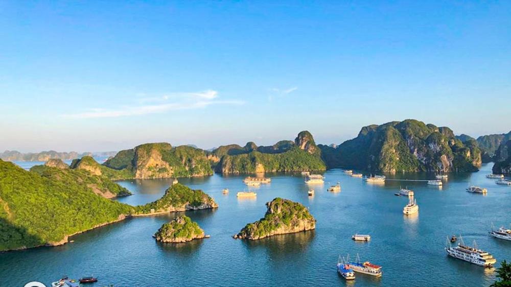 Đảo Bồ Hòn