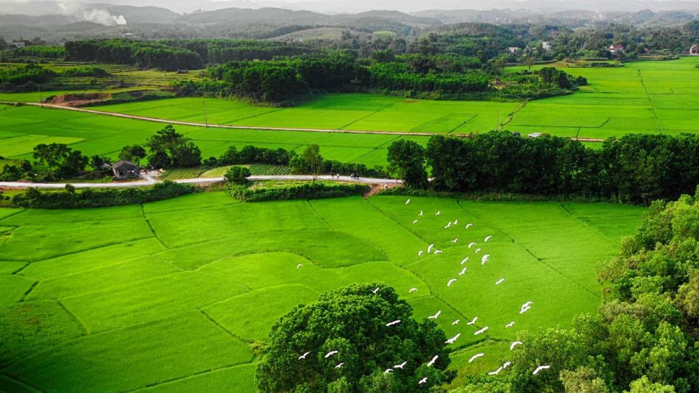 Núi Hứa