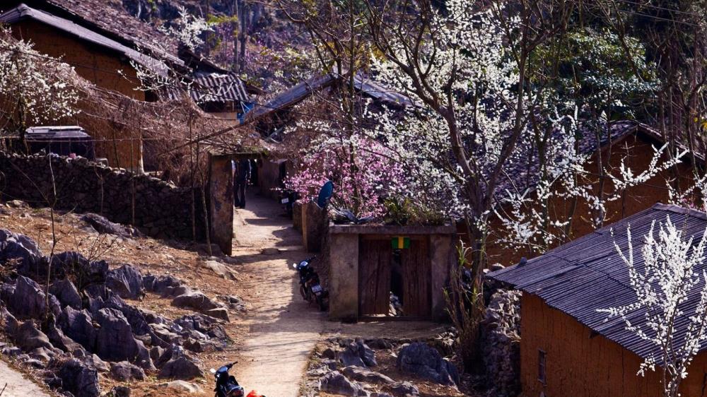 Làng Sảo Há Hà Giang