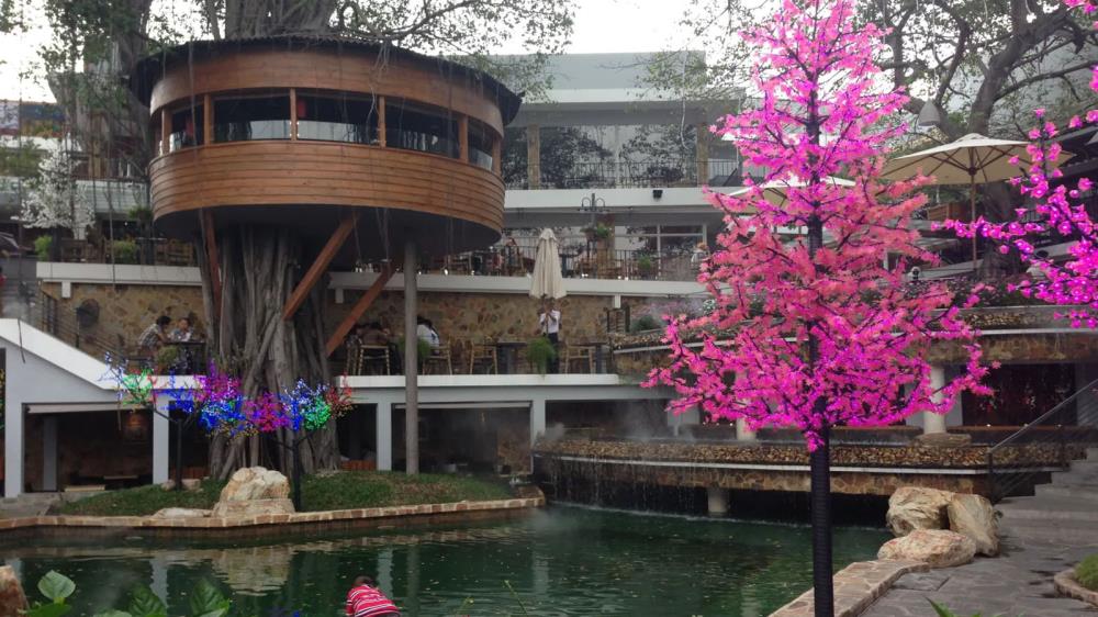 Du Miên Garden Cafe