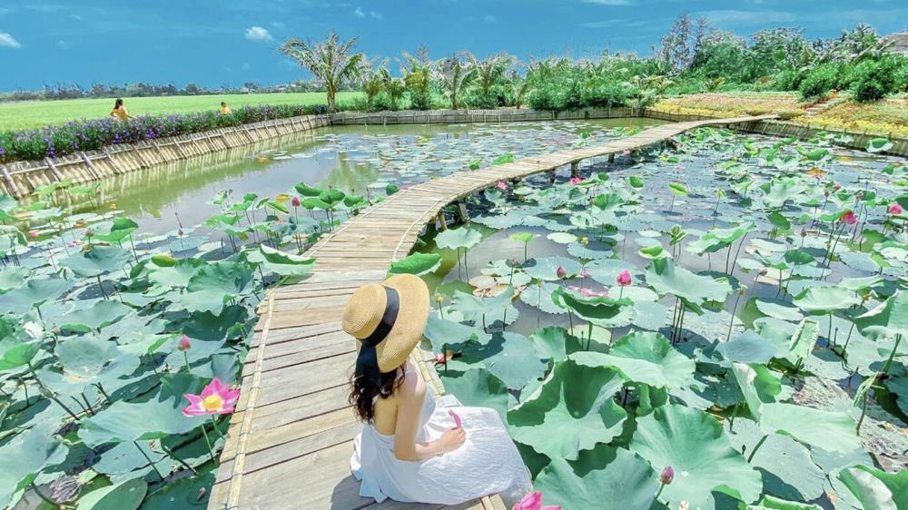 Khu sinh thái Sen Hồ Thái Nguyên