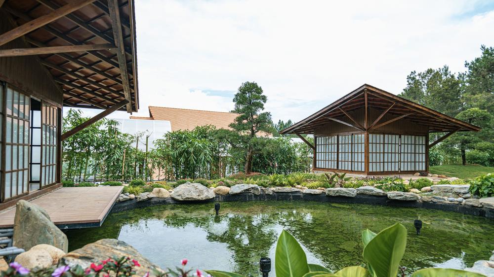 Khu du lịch Rừng Thông Núi Voi