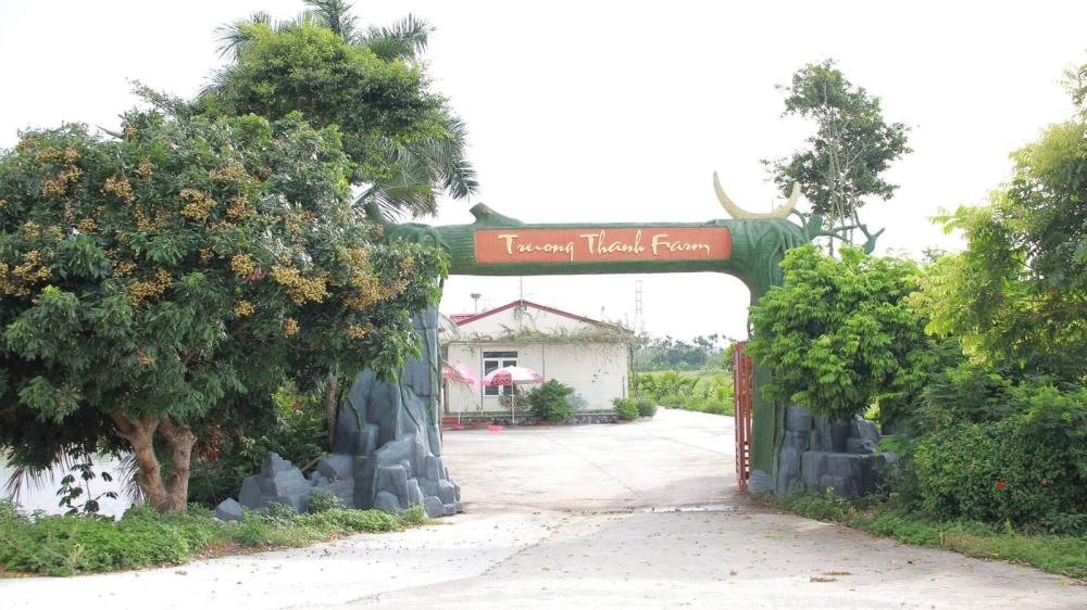 Trường Thành Farm