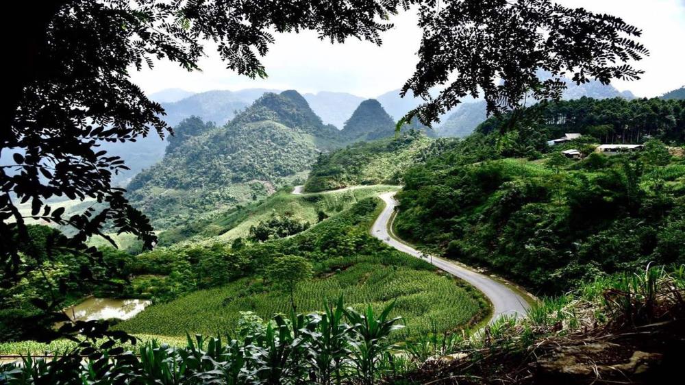 Khu bảo tồn thiên nhiên Pù Hu