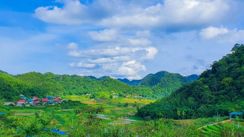 Son Bá Mười