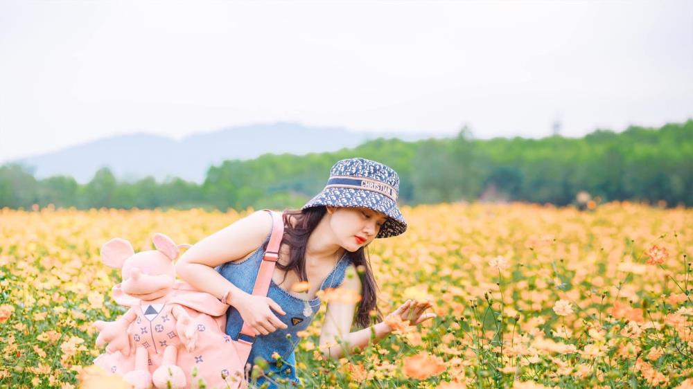Đồi hoa xuân Thái Hoà
