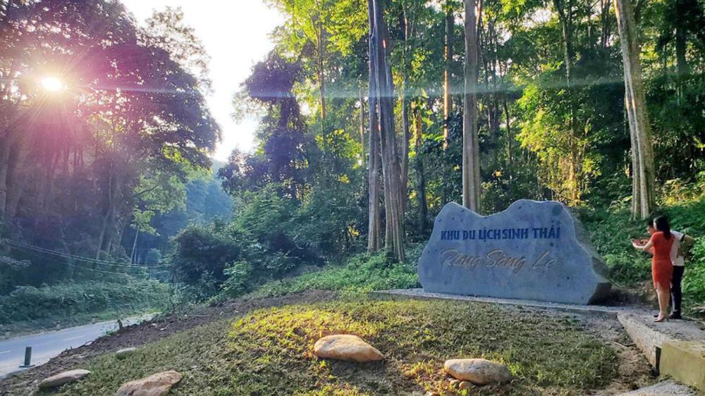 Rừng săng lẻ Nghệ An