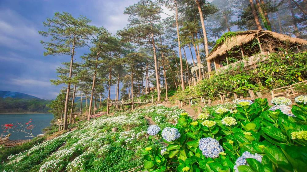 Happy Hills Quảng Bình