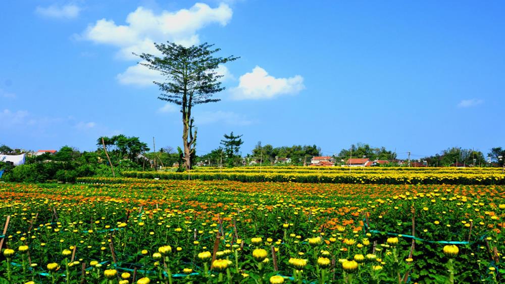 Miền Viên Thảo Quảng Trị
