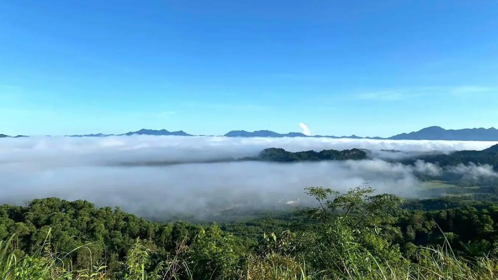 Khu bảo tồn thiên nhiên Bắc Hướng Hoá