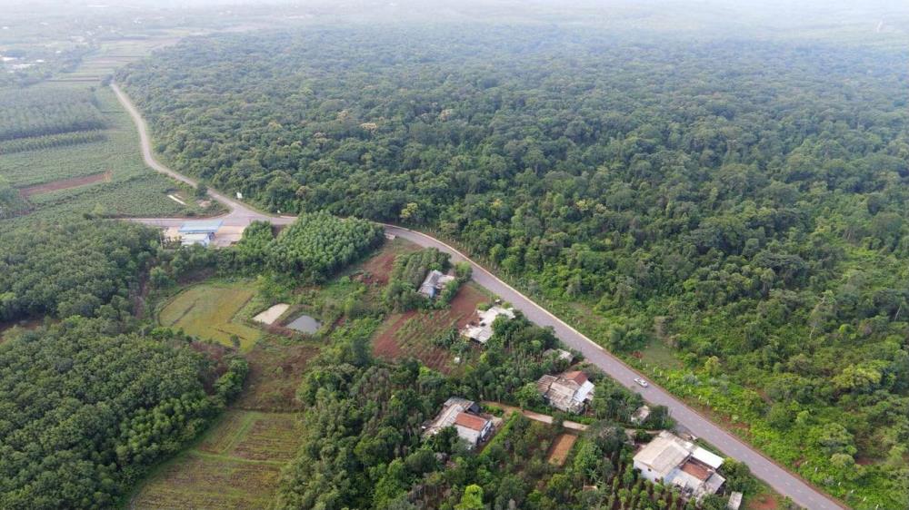 Rừng nguyên sinh Rú Lịnh