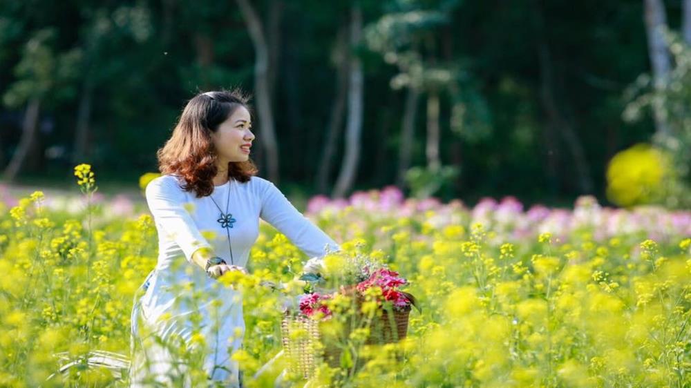 Thung lũng hoa Cát Bà