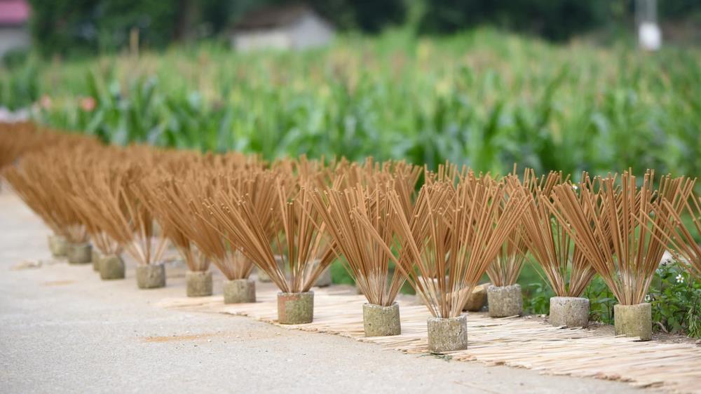 Làng hương Phia Thắp