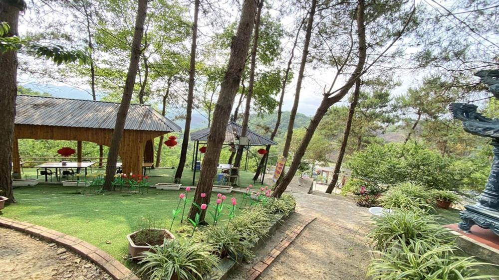 Đồi thông Thiên Sơn Thịnh An Gia