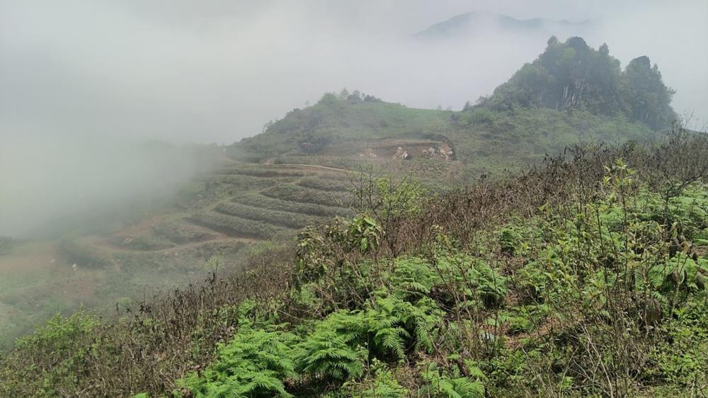 Xã Sa Pả