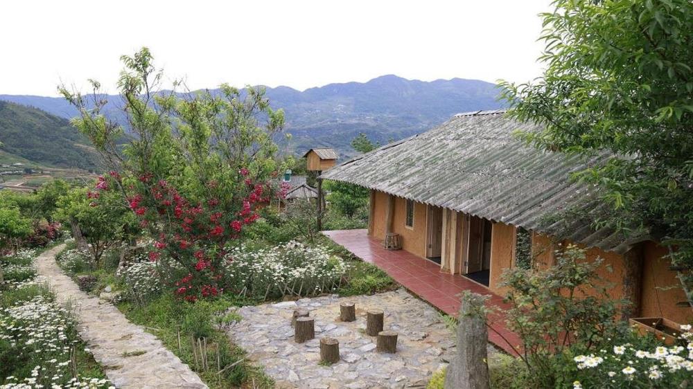 Vườn hoa Hmông Sapa