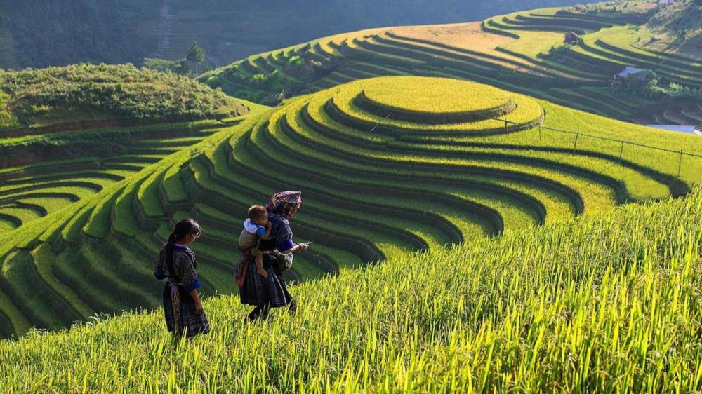 Bản Hồ Sapa