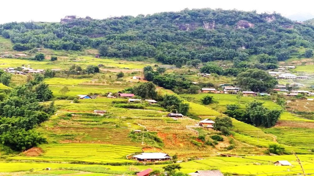 Trung Chải Sapa