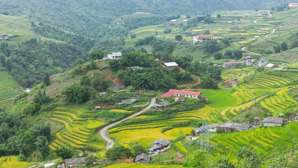 San Sả Hồ Sapa