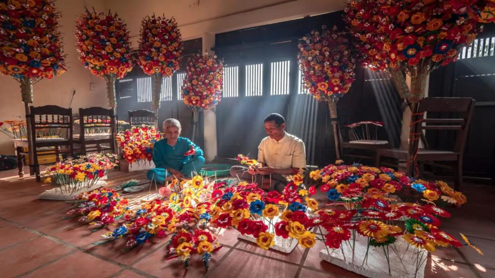 Làng hoa giấy Thanh Tiên