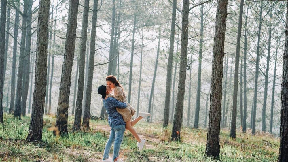 Rừng thông Bồ Bồ Quảng Nam